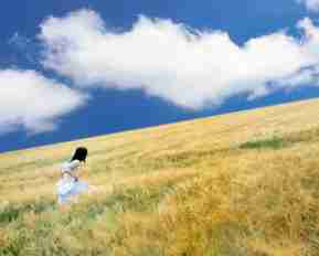 ping api接​口‌